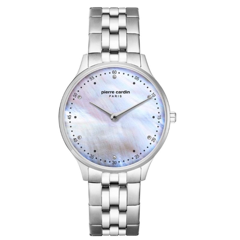 Hodinky Pierre Cardin A.PC902722F207