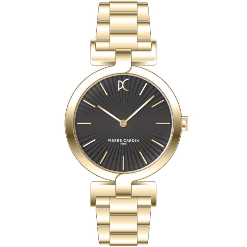 Hodinky Pierre Cardin CMD.3512