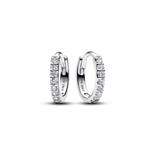 Pandora Timeless 293015C01