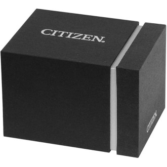 Hodinky CITIZEN AR3120-24L