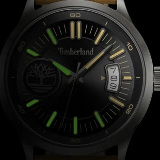 Hodinky Timberland TDWGB0041006