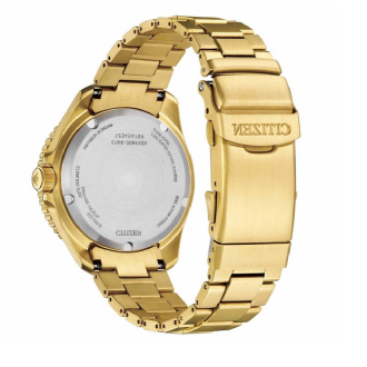 Hodinky CITIZEN BN0262-59W