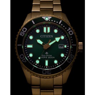 Hodinky CITIZEN BN0262-59W