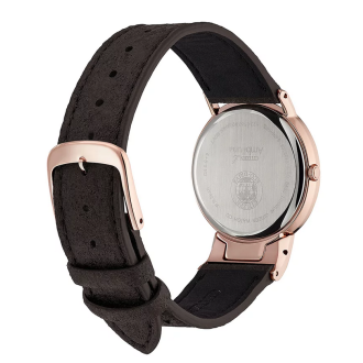 Hodinky CITIZEN EG7072-19X
