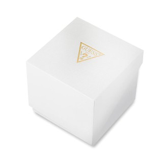 Hodinky Guess GW0794G1