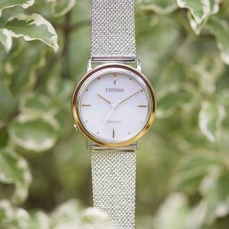 Hodinky CITIZEN EM1006-40A