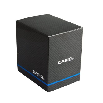 Hodinky CASIO LCW-M170TD-7AER