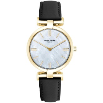 Hodinky Pierre Cardin A.PC902702F103